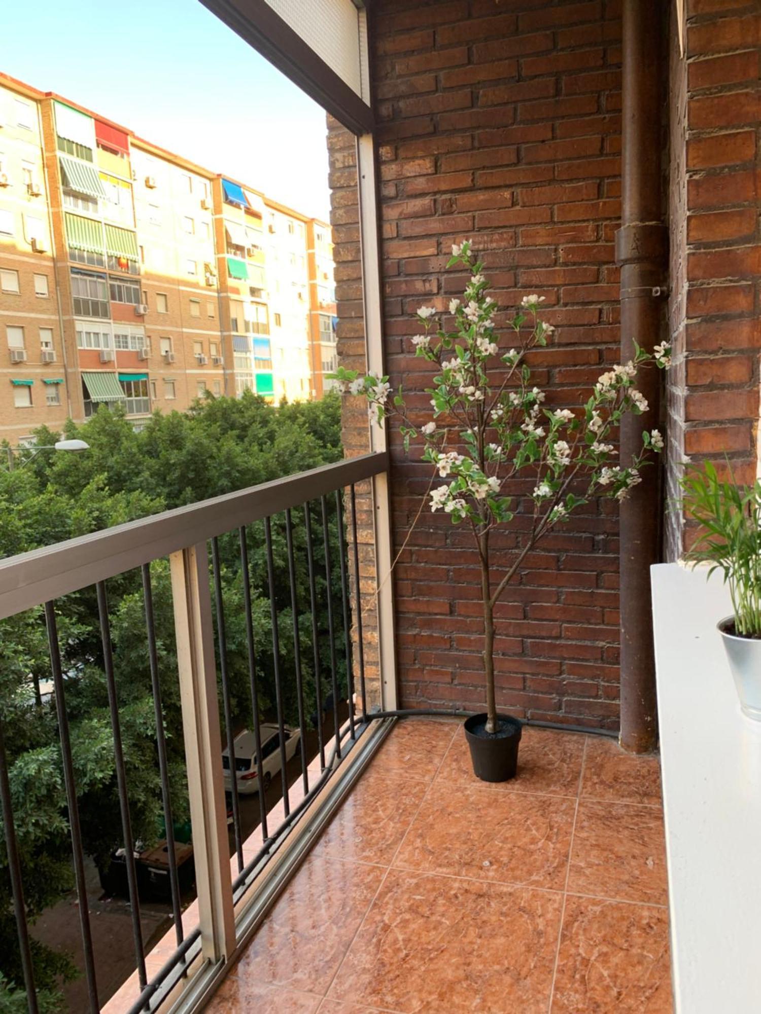 Bueno, Bonito Y Barato Apartamento Málaga Exterior foto